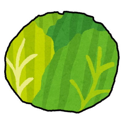 キャベツ